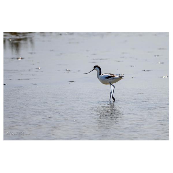 PHOTO84, CLUB, 84 , LUBERON